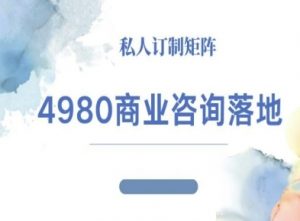 4980商业咨询师落地课程-ip运营高客单教程-网赚项目众筹网