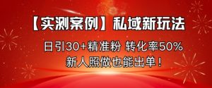 【实测案例】私域新玩法,日引30+精准粉,转化率50%,新人照做也能出单!-网赚项目众筹网