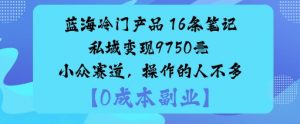 蓝海冷门产品：16条笔记私域变现9750米小众赛道，操作的人不多-网赚项目众筹网