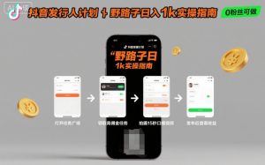 抖音发行人计划全新野路子玩法,随时随地,只要有手机,就能操作,日入1k+【揭秘】-网赚项目众筹网