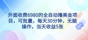 外面收费6980的全自动撸美刀项目,可批量,每天30分钟,无脑操作,当天收益5张【揭秘】-网赚项目众筹网