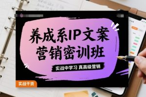 养成系IP文案营销密训班,实战中学习真高级营销-网赚项目众筹网