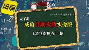 麦子甜咸鱼自助卖货实操版(虚拟资源)一个会自动搞钱的机器-网赚项目众筹网