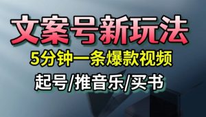 文案号新玩法,5分钟一条爆款视频,流量高,起号快,多方位变现-网赚项目众筹网