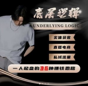 一个人起盘的底层逻辑,私域流量-直播电商-实体获客,一人起盘的36种賺钱思路-网赚项目众筹网