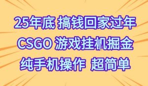 25年底搞钱回家过年，CSGO游戏挂G掘金，纯手机操作超简单【揭秘】-网赚项目众筹网