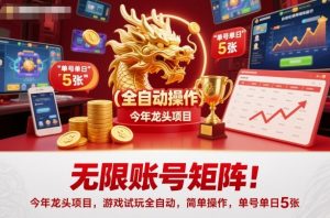 无限账号矩阵!今年龙头项目,游戏试玩全自动,简单操作,单号单日5张【揭秘】-网赚项目众筹网
