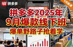 拼多多2025年9月爆款线下班,爆单野路子抢着学-网赚项目众筹网