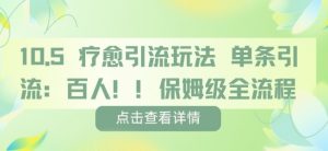 疗愈引流玩法,单条引流百人,保姆级全流程-网赚项目众筹网