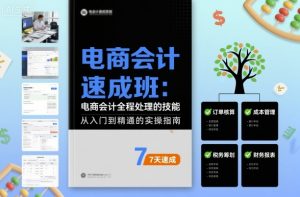 电商会计速成班,电商会计全程处理的技能-网赚项目众筹网