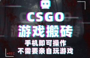 CSGO游戏挂G捡漏,单日扫货5张+,年底小高峰上车可吃肉,手机即可操作,兼职副业创业网创【揭秘】-网赚项目众筹网