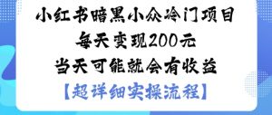 小红书暗黑小众冷门项目每天变现2张当天可能就会有收益-网赚项目众筹网