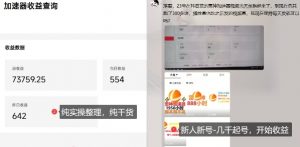 游戏加速器项目4.0_最新打法思路(爱玩游戏也能边玩边被动收益)-网赚项目众筹网