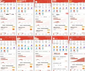 拼多多虚拟电商，门槛低，搬运上架，操作起来简单粗暴，单人单店三位数，可矩阵-网赚项目众筹网