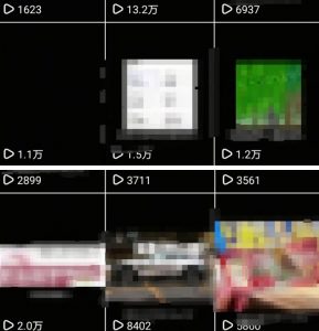 抖音引流创业粉教程,创业粉终于跑通了,私域是永远的王-网赚项目众筹网