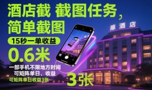 酒店截图任务,简单截图,15秒一单收益0.6米,一部手机不限地方时间,可矩阵单日收益3张【揭秘】-网赚项目众筹网