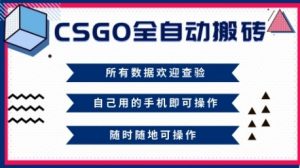 CSGO全自动搬砖,年底钱回家好项目,当天可拿到结果,新手小白轻松月入1W+【揭秘】-网赚项目众筹网