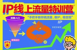 IP线上流量特训营，手把手教你搞流量、做IP、稳变现-网赚项目众筹网