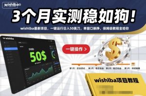 3个月实测稳如狗！wishlba最新项目，一键运行日入50美刀，单窗口躺挣，保姆级教程全给你【揭秘】-网赚项目众筹网