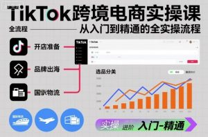TikTok跨境电商实操课，从入门到精通的全实操流程-网赚项目众筹网