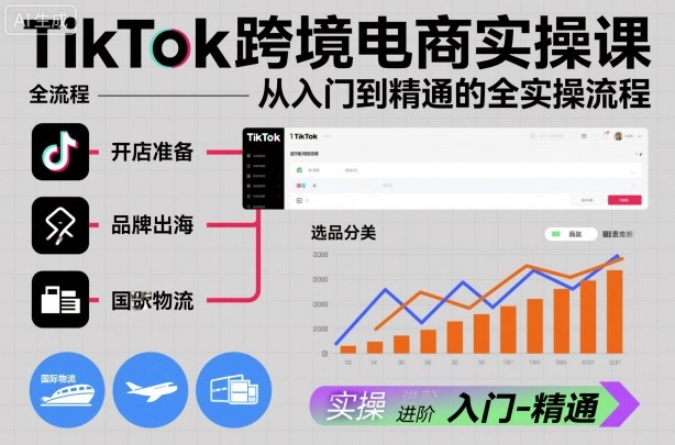 TikTok跨境电商实操课，从入门到精通的全实操流程-网赚项目众筹网