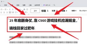 25年底翻身仗，靠CSGO游戏挂G捡漏掘金，搞钱回家过肥年【揭秘】-网赚项目众筹网