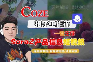 Coze扣子智能体工作流一键生成“SORA2产品信息“短视频,全流程保姆级教学-网赚项目众筹网