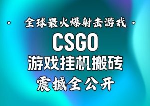 【年底大揭秘】基于全球最火爆的射击CSGO游戏挂G搬砖，日入5张+，震撼公开-网赚项目众筹网