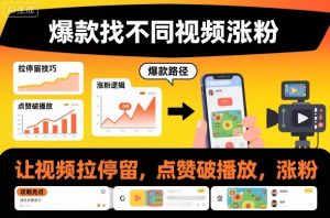 爆款找不同视频涨粉，让视频拉停留，实现点赞，破播放，涨粉-网赚项目众筹网