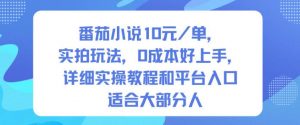 番茄小说10米每单，实拍玩法，0成本好上手，详细实操教程和平台入口适合大部分人-网赚项目众筹网