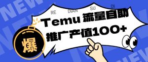 专注于Temu商家提供精准曝光浏览量，助力店铺排名提升和转化，单机日收入80-130【揭秘】-网赚项目众筹网