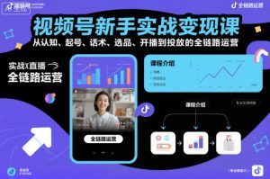 视频号新手实战变现课，从认知、起号、话术、选品、开播到投放的全链路运营-网赚项目众筹网