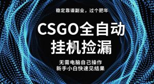 【稳定副业】全球最热门游戏CSGO全自动捡漏，最新玩法，新手小白日入5张+【揭秘】-网赚项目众筹网
