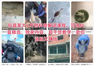 抖音某大V万物科普解说课程，可进抖音精选，独家内容，超干货教学，助你涨粉又賺钱-网赚项目众筹网