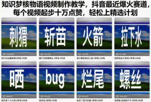 知识梦核物语视频制作教学，抖音最近爆火赛道，每个视频起步十万点赞，轻松上精选计划-网赚项目众筹网