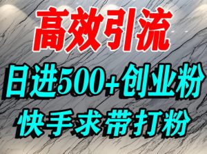 怎么打创业粉？快手求带视角精准引流创业粉，宝妈、学生群体日进500+精准流量-网赚项目众筹网