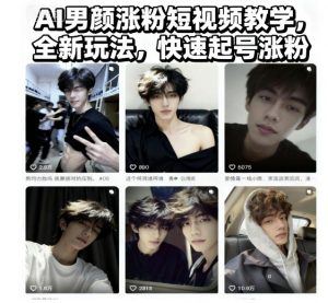 AI男颜涨粉短视频教学，全新玩法，快速起号涨粉-网赚项目众筹网