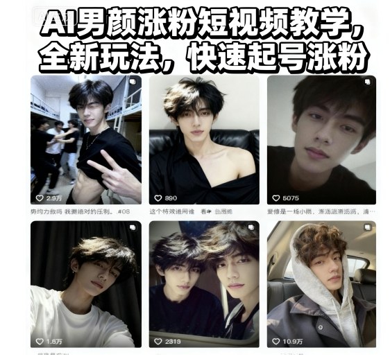 AI男颜涨粉短视频教学，全新玩法，快速起号涨粉-网赚项目众筹网