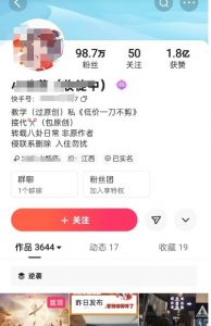 快手百万粉丝博主快手一刀不剪无脑搬运技术，几分钟就能搞定一条作品，条条过同框-网赚项目众筹网