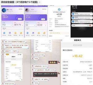 当天能收益的3个小项目拆解_包括平台+操作流程-网赚项目众筹网