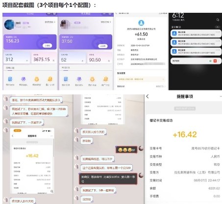 当天能收益的3个小项目拆解_包括平台+操作流程-网赚项目众筹网
