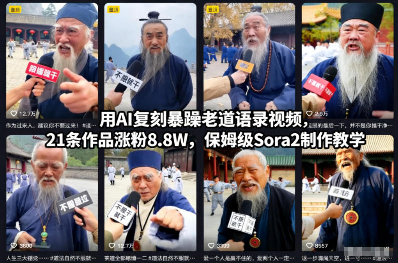 用AI复刻暴躁老道语录视频，21条作品涨粉8.8W，保姆级Sora2制作教学-网赚项目众筹网