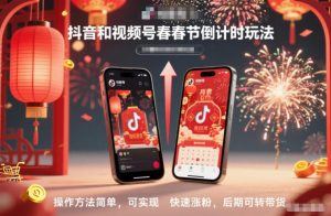 抖音和视频号，春节倒计时玩法，操作方法简单，可实现快速涨粉，后期可转带货-网赚项目众筹网