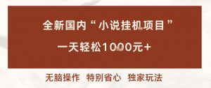 全新国内小说挂G项目,多窗口无脑跑,一天轻松1k+,特别省心【揭秘】-网赚项目众筹网