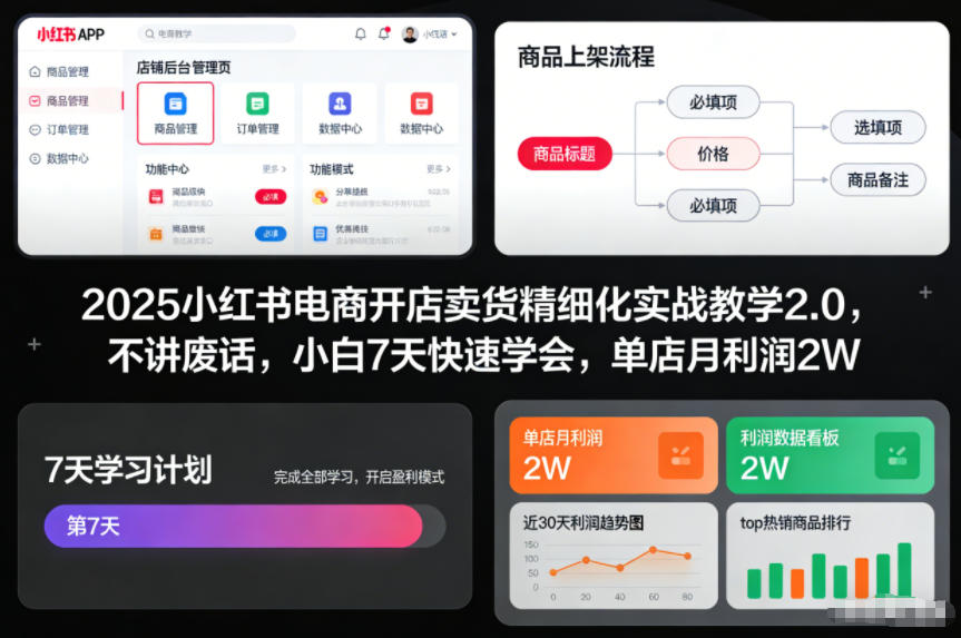 2025小红书电商开店卖货精细化实战教学2.0，不讲废话，小白7天快速学会，单店月利润2W-网赚项目众筹网