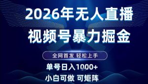 2026最新视频号无人直播掘金，全网首发，小白可以玩，长期稳定日入1k+【揭秘】-网赚项目众筹网