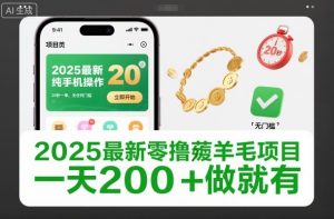 2025最新零撸薅羊毛项目,纯手机操作,20秒一单,无任何门槛,一天200+做就有【揭秘】-网赚项目众筹网