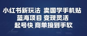 小红书新玩法，卖国学手机贴，蓝海项目，变现灵活，起号快，商单接到手软-网赚项目众筹网