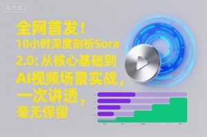 全网首发!10小时深度剖析Sora 2.0:从核心基础到AI视频场景实战,一次讲透,毫无保留-网赚项目众筹网