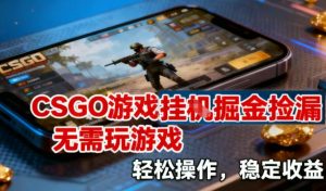 CSGO游戏挂G掘金捡漏，不需要玩游戏，操作简单，收益稳定【揭秘】-网赚项目众筹网